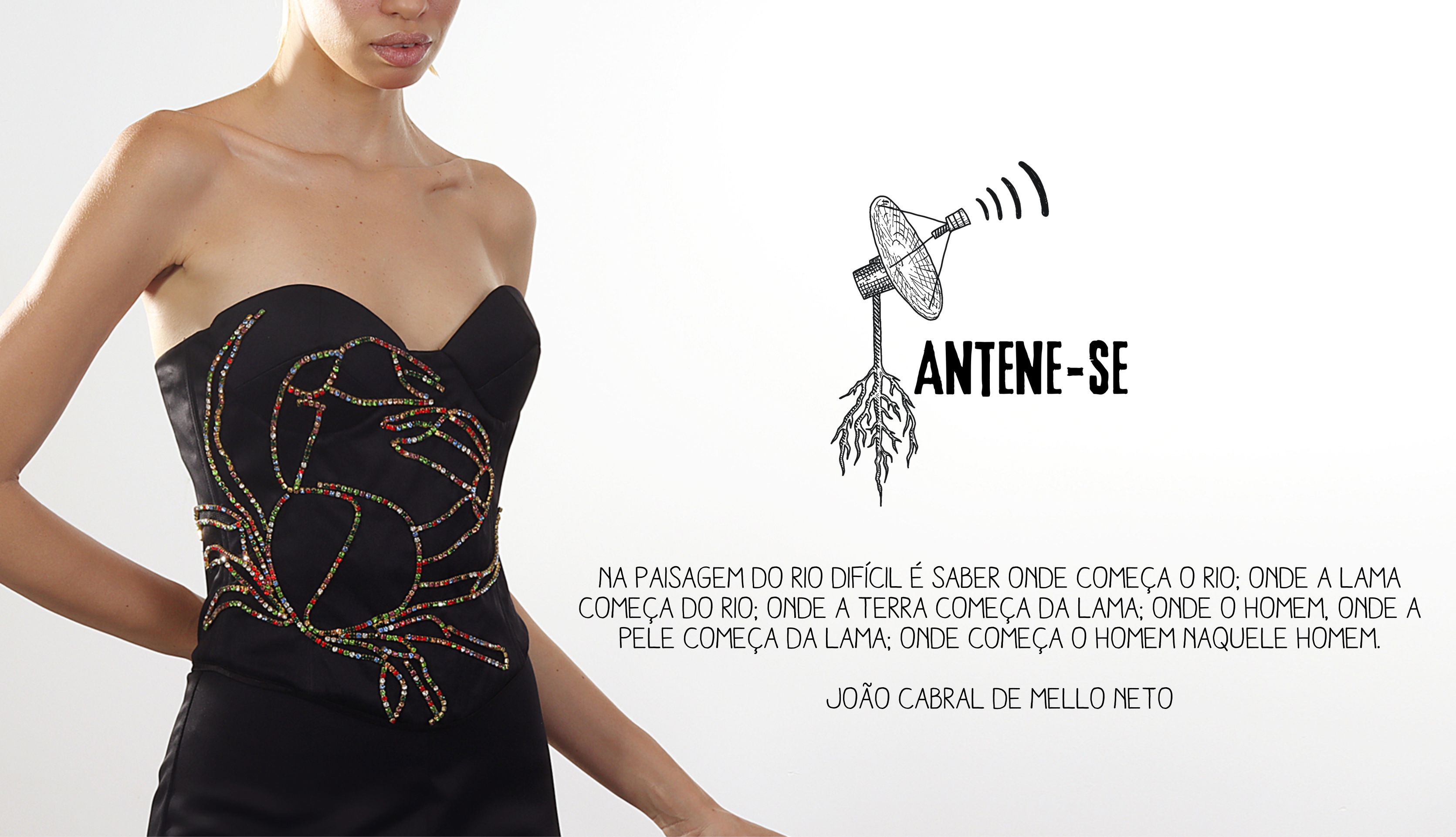 Antenese Logo